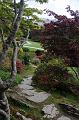 muckross gardens 1